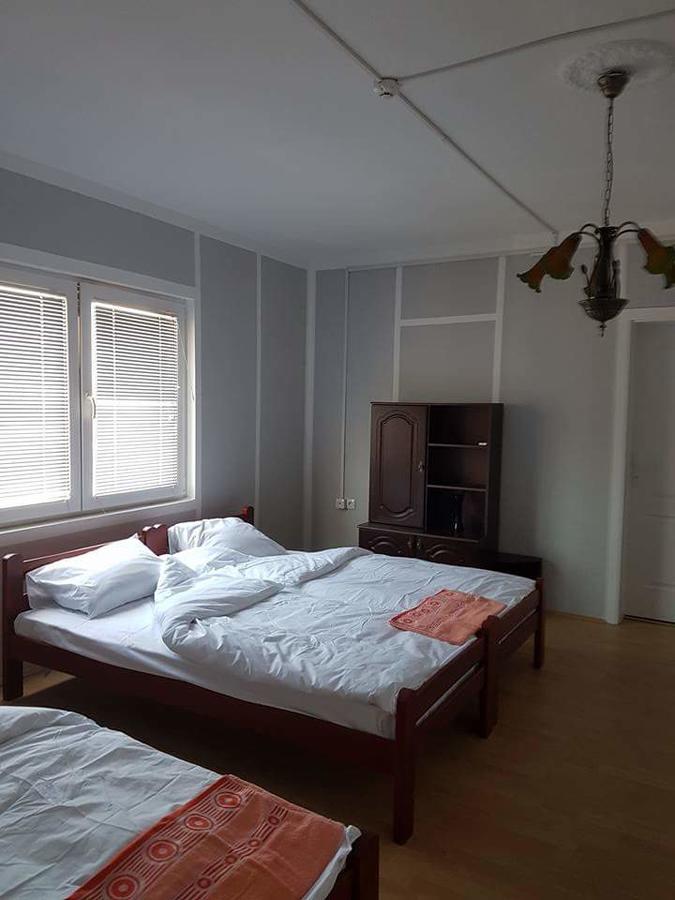 Golden Danube Bed & Breakfast Veliko Gradiste Ngoại thất bức ảnh
