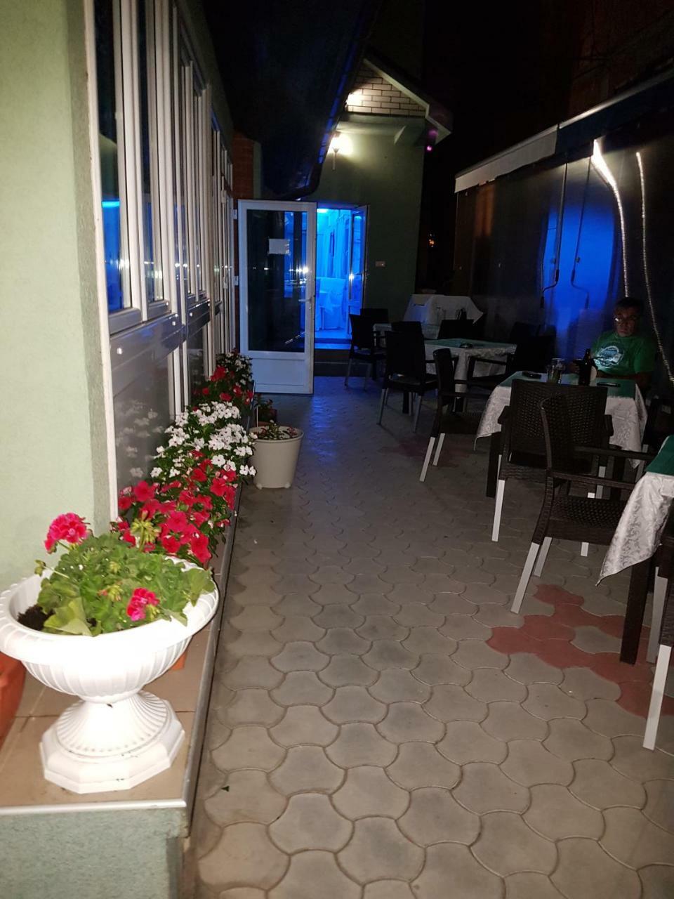Golden Danube Bed & Breakfast Veliko Gradiste Ngoại thất bức ảnh