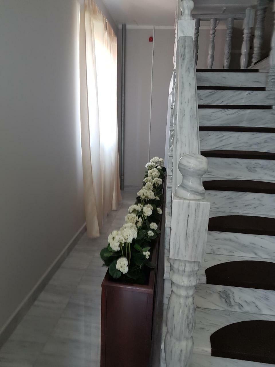 Golden Danube Bed & Breakfast Veliko Gradiste Ngoại thất bức ảnh